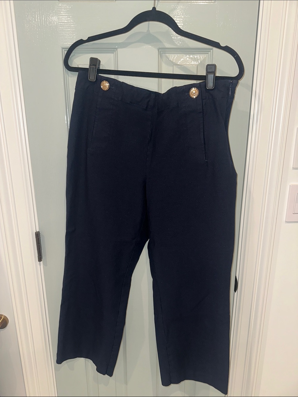 Ann Taylor Navy Wide-Leg Cropped Trousers with Gold Buttons